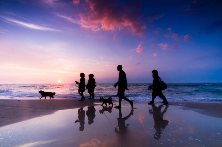 Person walking on the beach at sunset, showcasing a relaxed posture beneficial for spine and back health.